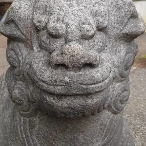 Meet your Posher, Jeff